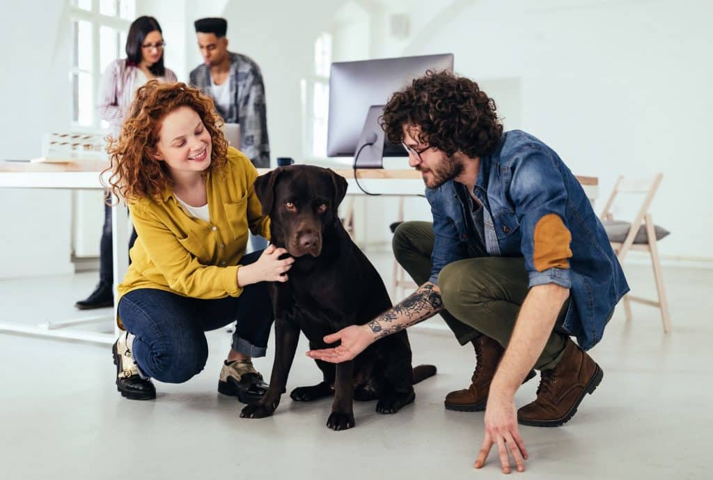 Un animal de compagnie au travail, c'est plus d'implication et